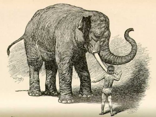 kipling, il libro della jungla, toomai degli elefanti